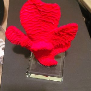 Final reduction! Bright red coral statue by ambition home